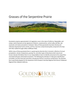 Grasses of the Serpentine Prairie