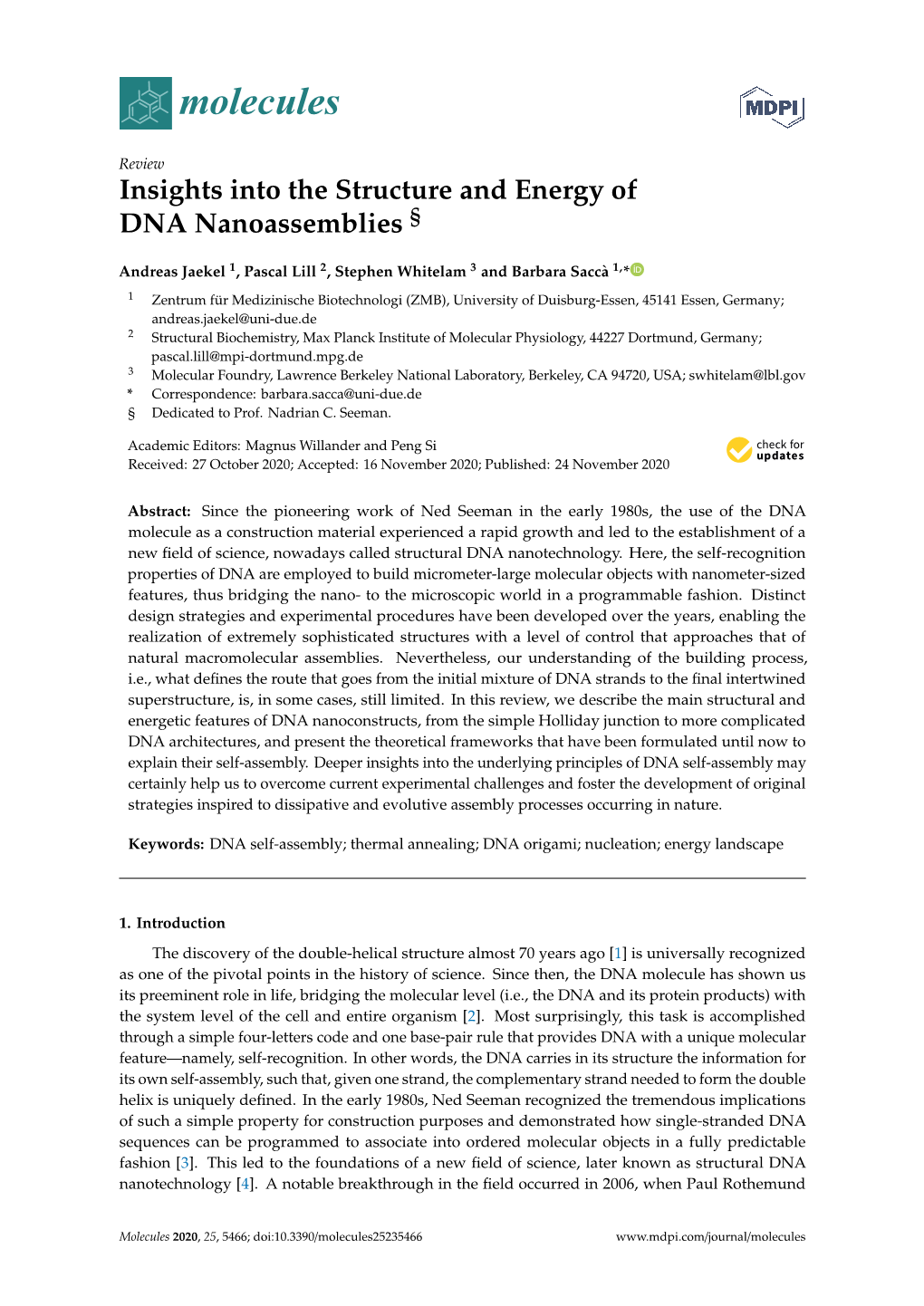 Insights Into the Structure and Energy of DNA Nanoassemblies §