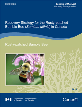 Rusty Patched Bumble Bee 2016