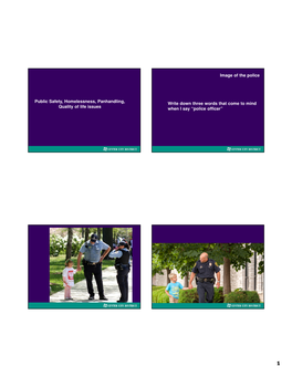 Public Safety, Homelessness, Panhandling, Write Down Three Words That Come to Mind Quality of Life Issues When I Say “Police Officer”