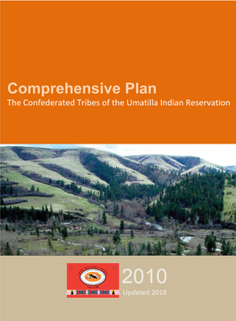 2010 Comprehensive Plan