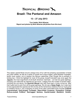 Brazil: the Pantanal and Amazon