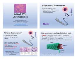 Lecture 3 Chromosome