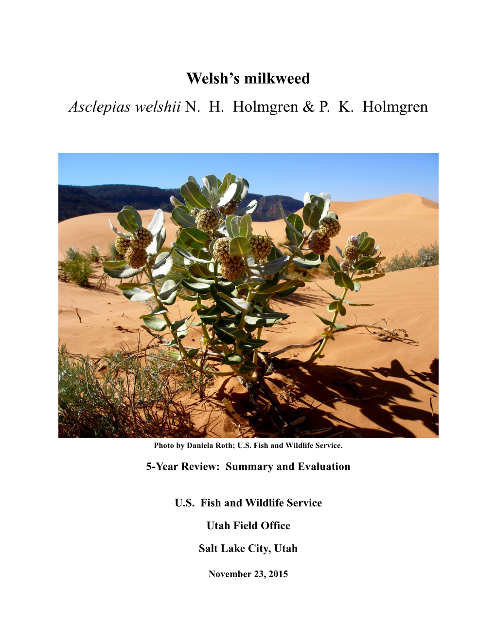 Welsh's Milkweed Asclepias Welshii N. H. Holmgren & P. K. Holmgren