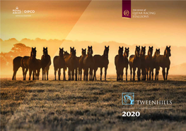 Tweenhills | 2020 Stallions
