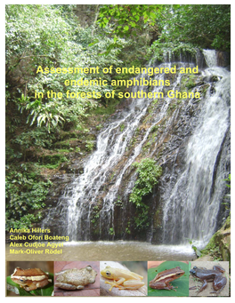 Assessment of Endangered and Endemic Amphibians in the Forests of Southern Ghana