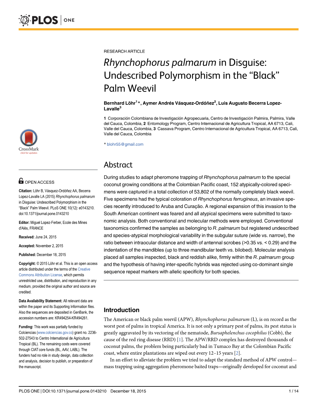 Rhynchophorus Palmarum in Disguise: Undescribed Polymorphism in the “Black” Palm Weevil