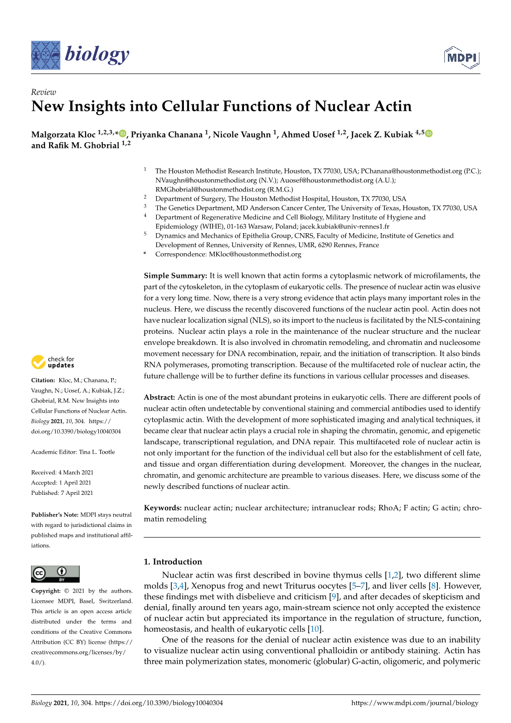 New Insights Into Cellular Functions of Nuclear Actin