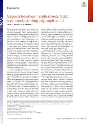 Aragonite Formation in Confinements: a Step Toward Understanding Polymorph Control COMMENTARY Yifei Xua,B,C and Nico A
