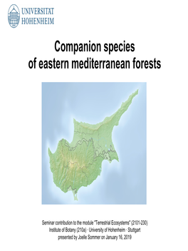 Companion Species of Eastern Mediterranean Forests