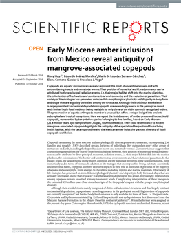 Early Miocene Amber Inclusions from Mexico Reveal Antiquity Of