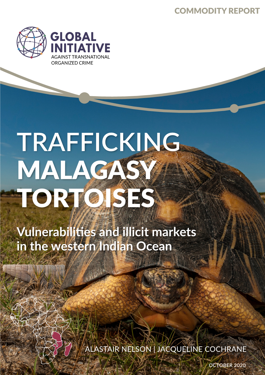 Trafficking Malagasy Tortoises