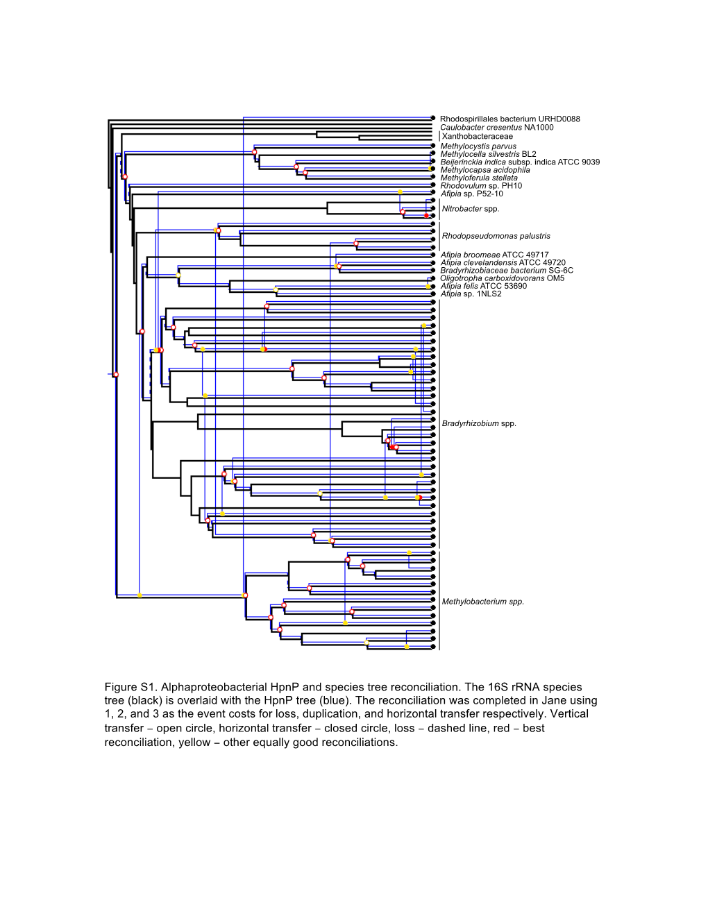 Figure S1. Alphaproteobacterial Hpnp and Species Tree Reconciliation