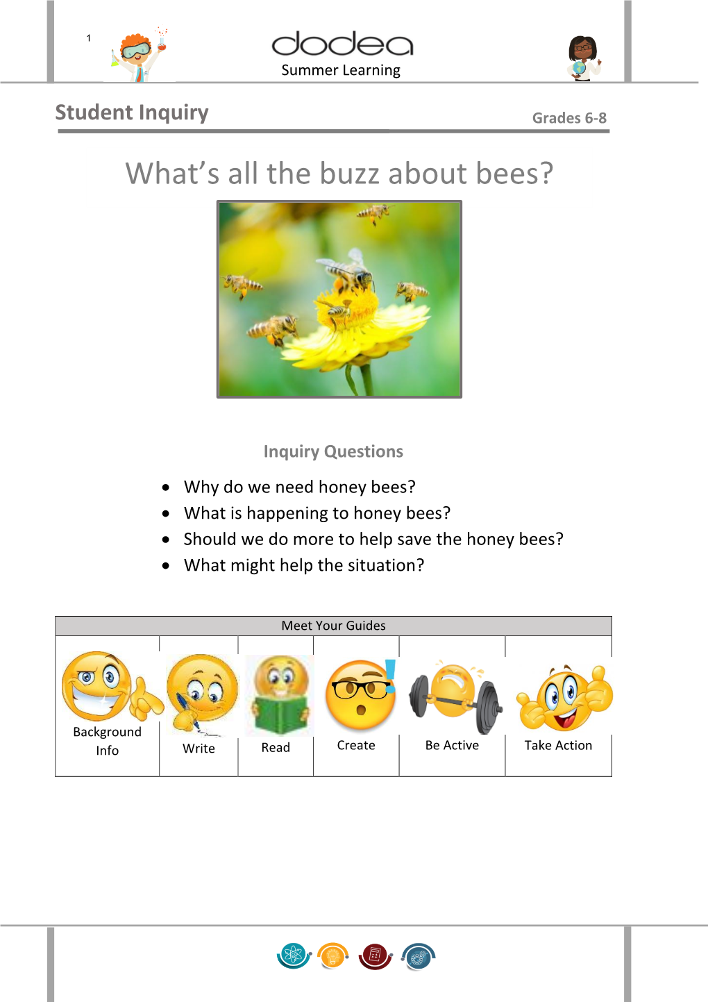 What's All the Buzz About Bees?