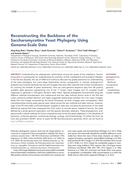 Reconstructing the Backbone of the Saccharomycotina Yeast Phylogeny Using Genome-Scale Data