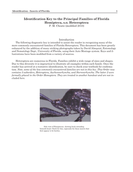 Identification Key to the Principal Families of Florida Hemiptera, S.O. Heteroptera P