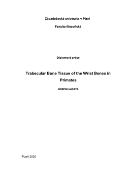 Trabecular Bone Tissue of the Wrist Bones in Primates