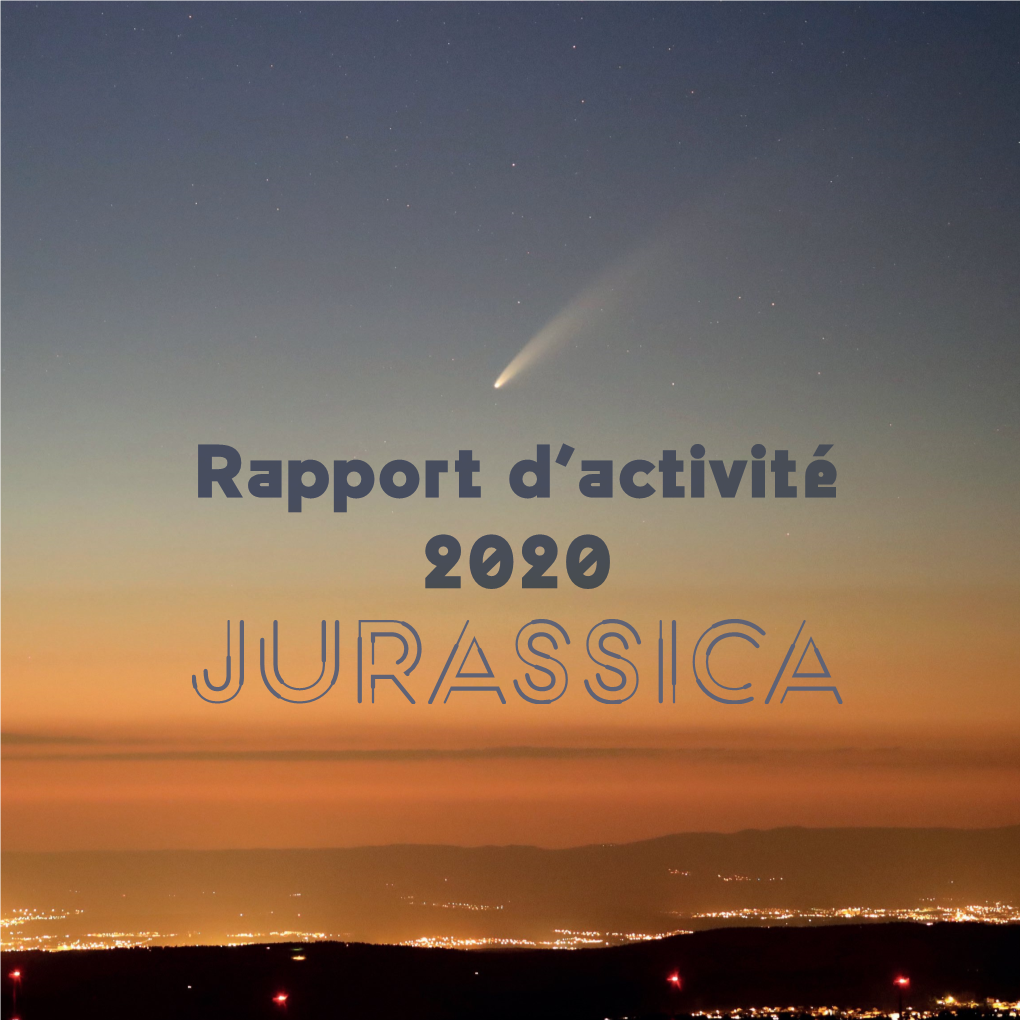 Rapport D'activité 2020