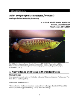 Asian Bonytongue (Scleropages Formosus) Ecological Risk Screening Summary