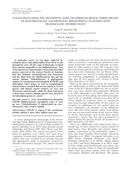 Collections from the Mesophytic Zone Off Bermuda Reveal Three Species of Kallymeniaceae (Gigartinales, Rhodophyta) in Genera with Transoceanic Distributions1