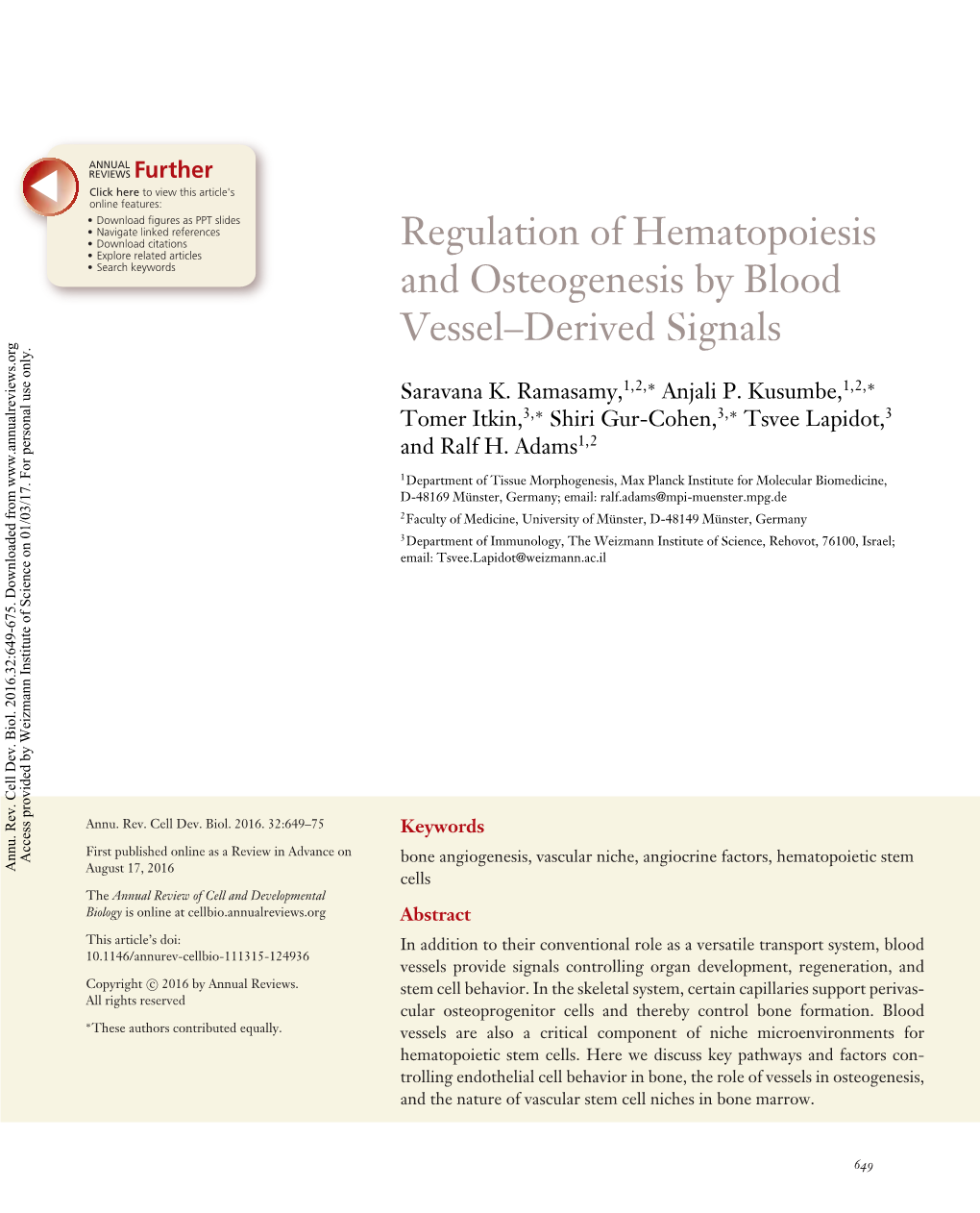 Regulation of Hematopoiesis and Osteogenesis by Blood Vessel–Derived Signals Saravana K