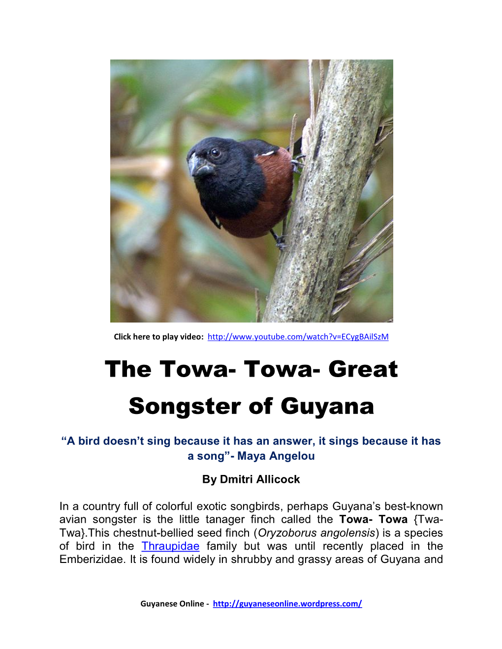 Towa- Great Songster of Guyana