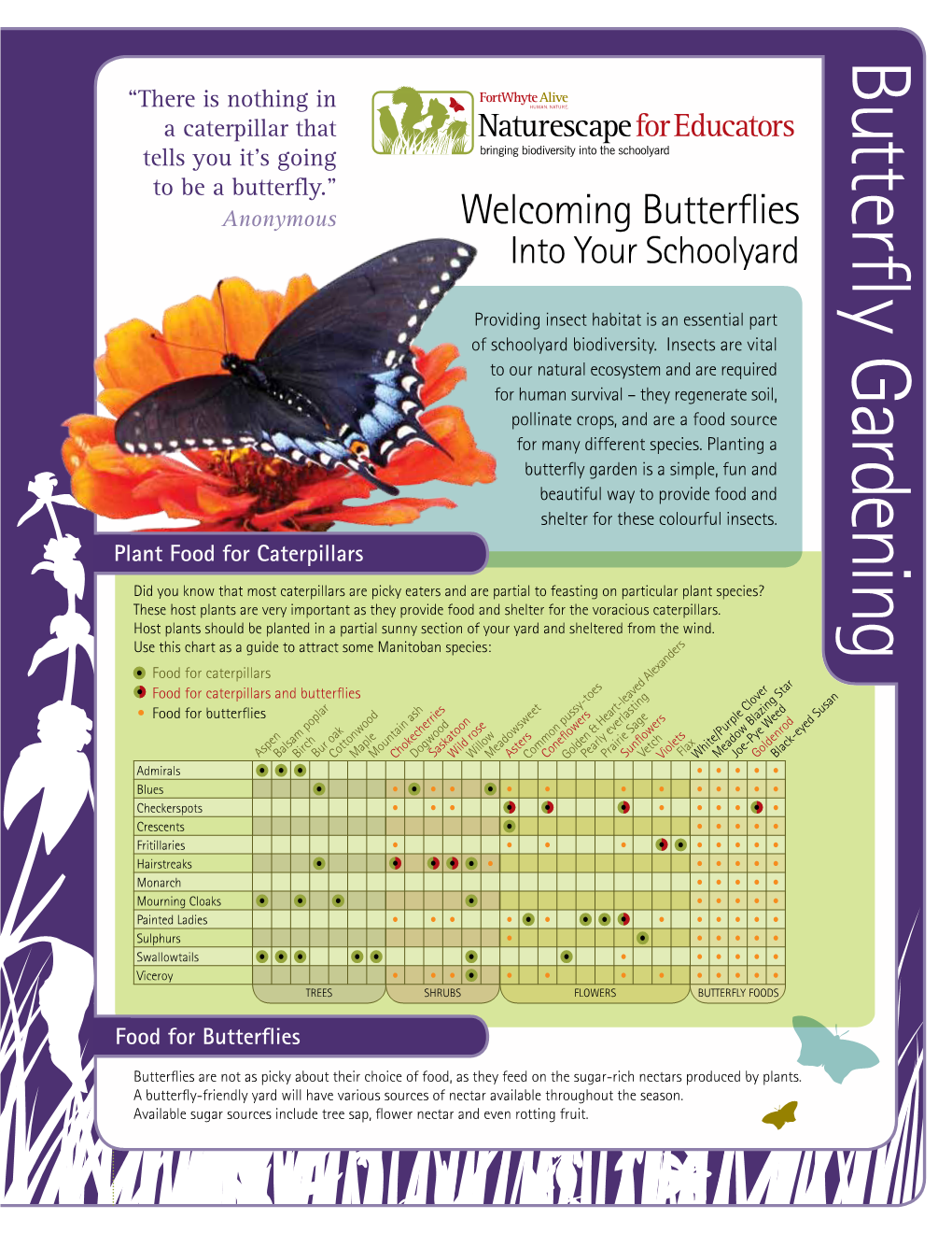 Butterfly Gardening