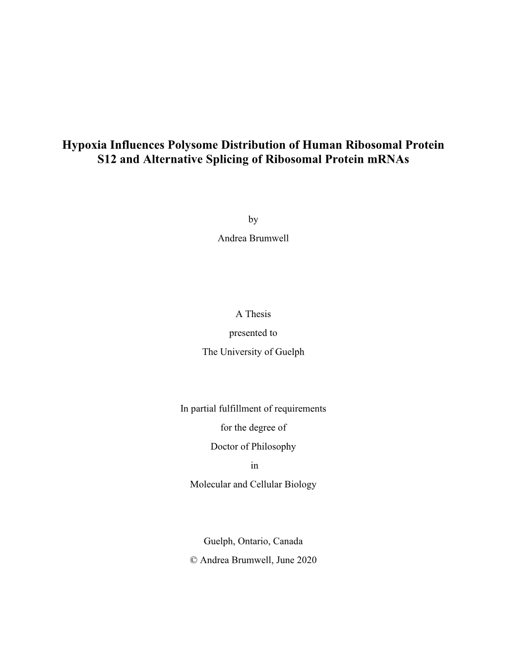 Hypoxia Influences Polysome Distribution of Human Ribosomal Protein S12 and Alternative Splicing of Ribosomal Protein Mrnas