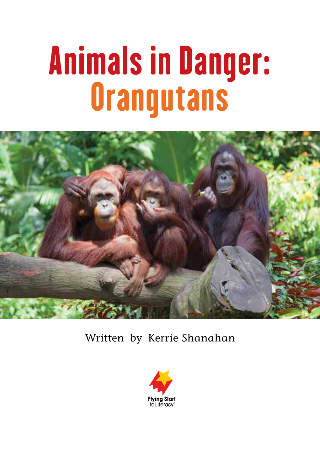 Animals in Danger: Orangutans