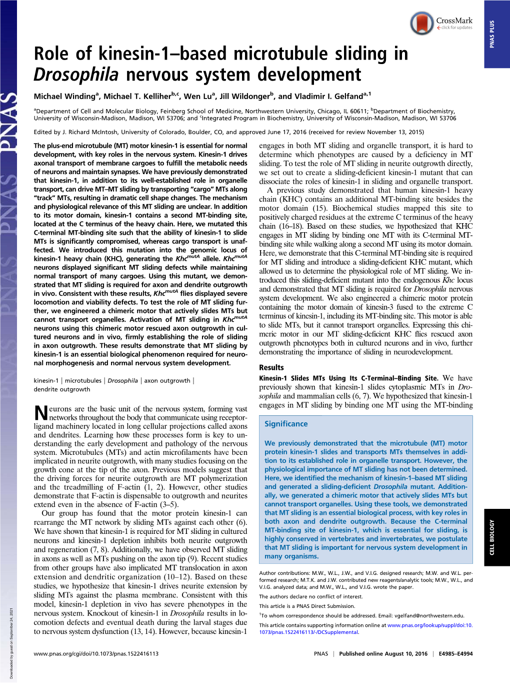 Role of Kinesin-1–Based Microtubule Sliding in Drosophila Nervous System Development