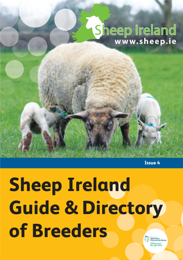 Sheep Ireland Guide & Directory of Breeders