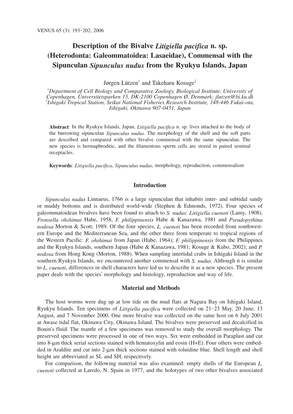 Description of the Bivalve Litigiella Pacifica N. Sp