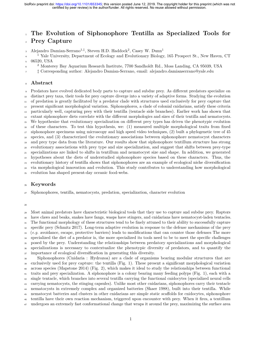 The Evolution of Siphonophore Tentilla As Specialized Tools for Prey Capture