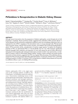 Pirfenidone Is Renoprotective in Diabetic Kidney Disease
