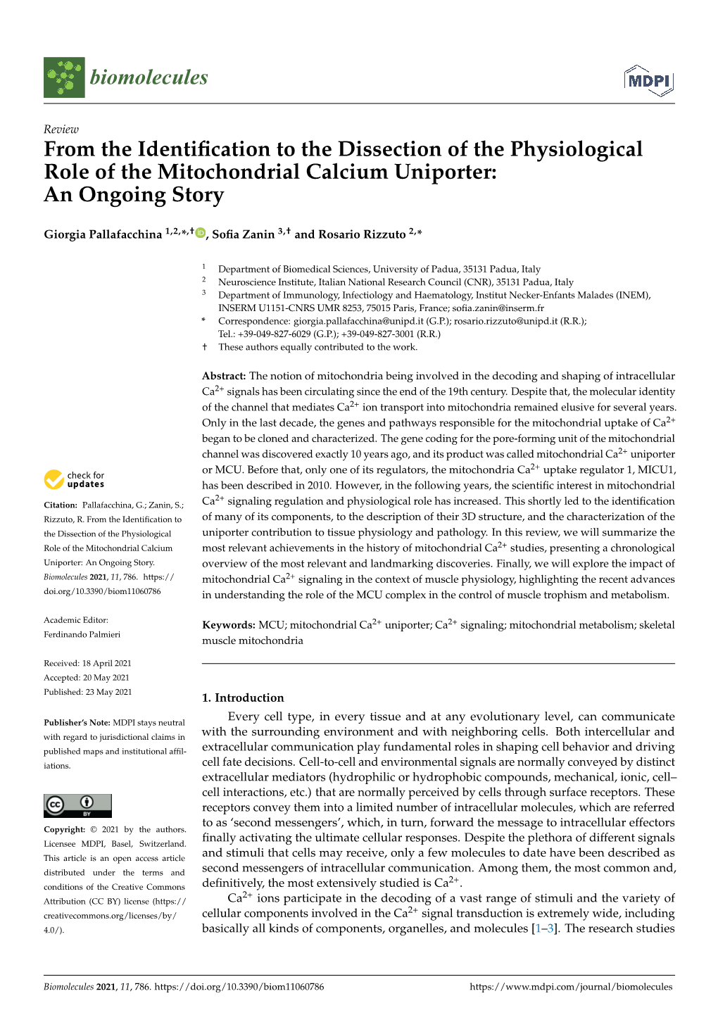 From the Identification to the Dissection of the Physiological Role of the Mitochondrial Calcium Uniporter: an Ongoing Story