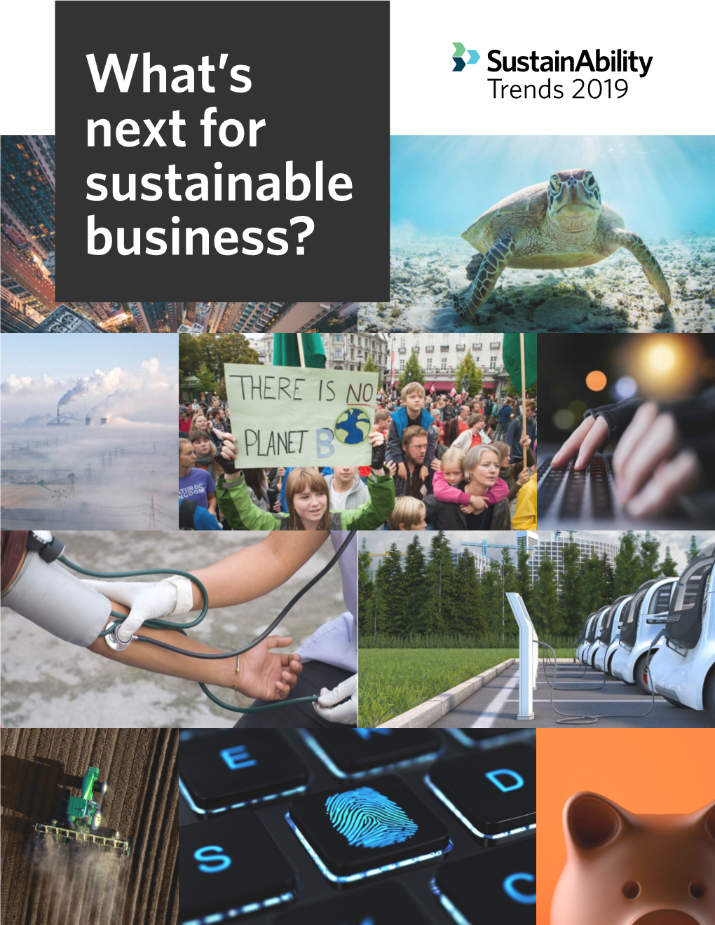 What's Next for Sustainable Business?