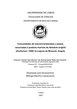 UNIVERSIDADE DE LISBOA Comunidades De