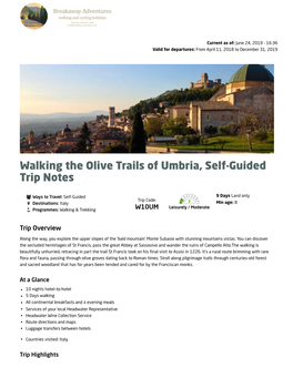 Walking the Olive Trails of Umbria, Self-Guided Trip Notes