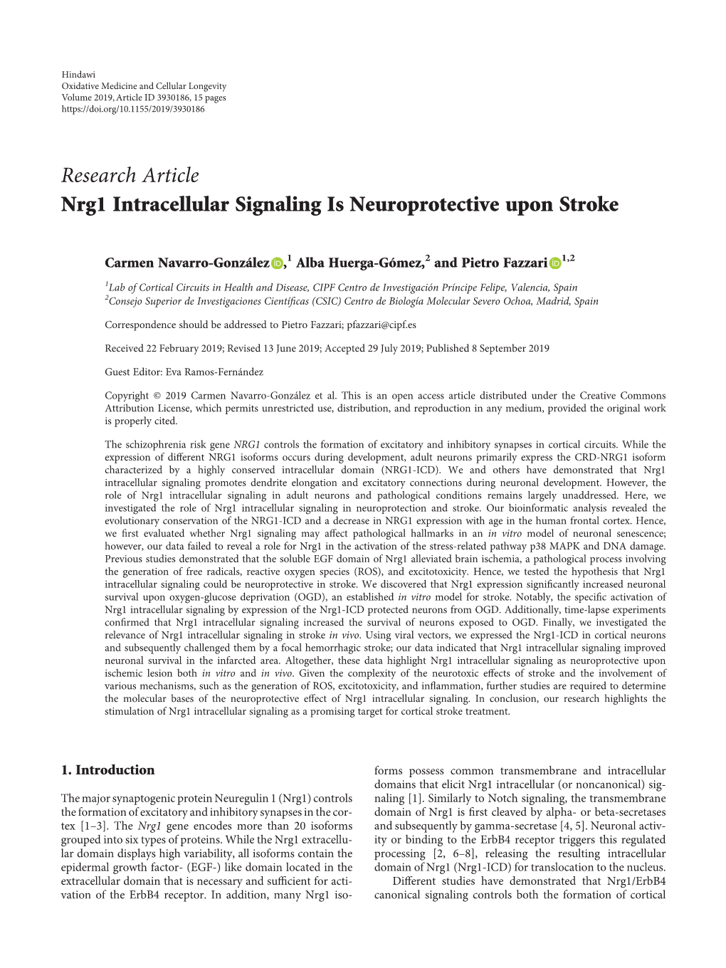 Research Article Nrg1 Intracellular Signaling Is Neuroprotective Upon Stroke