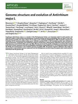 Genome Structure and Evolution of Antirrhinum Majus L