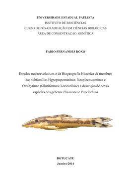 Estudos Macroevolutivos E De Biogeografia Histórica De Membros