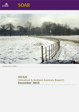 SOAR (Situation & Outlook Analysis Report) December 2015