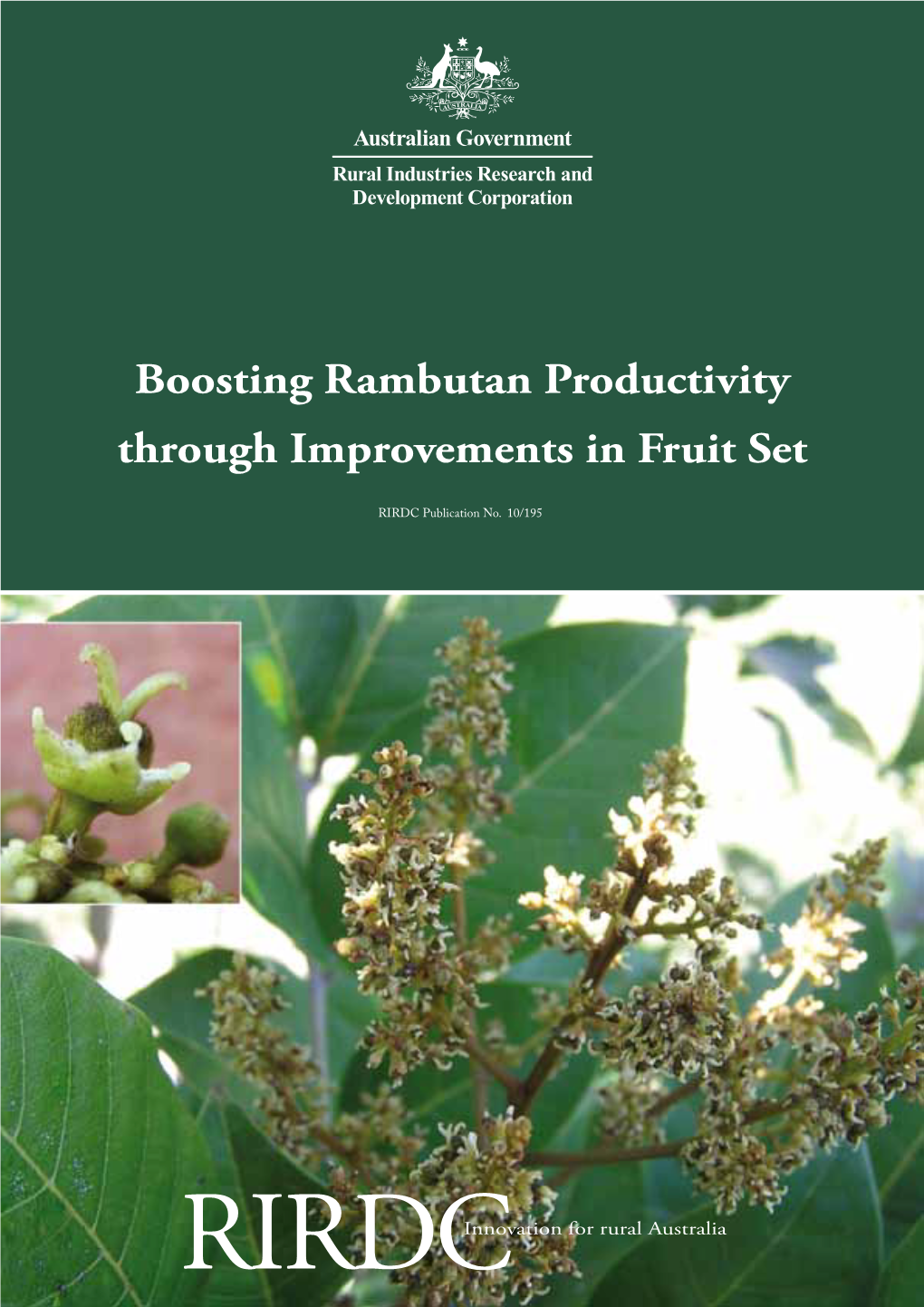 Boosting Rambutan Productivity Through Improvements in Fruit Set