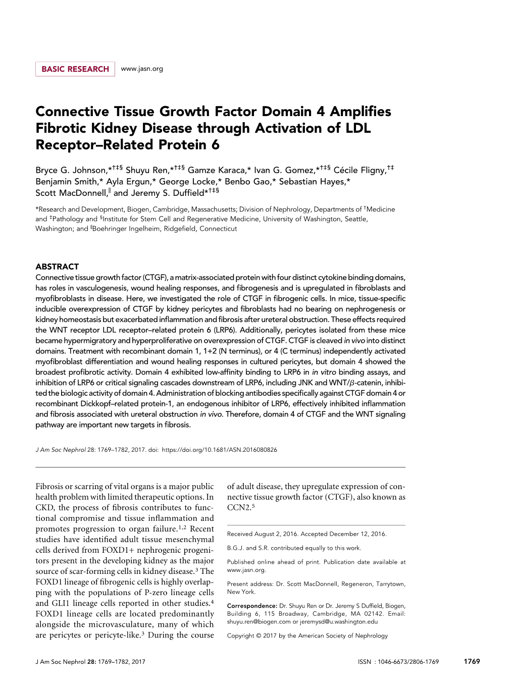 Connective Tissue Growth Factor Domain 4 Amplifies Fibrotic Kidney