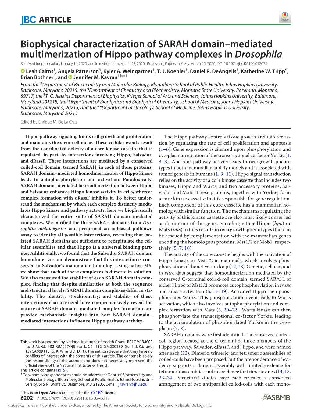 Mediated Multimerization of Hippo Pathway Complexes in Drosophila