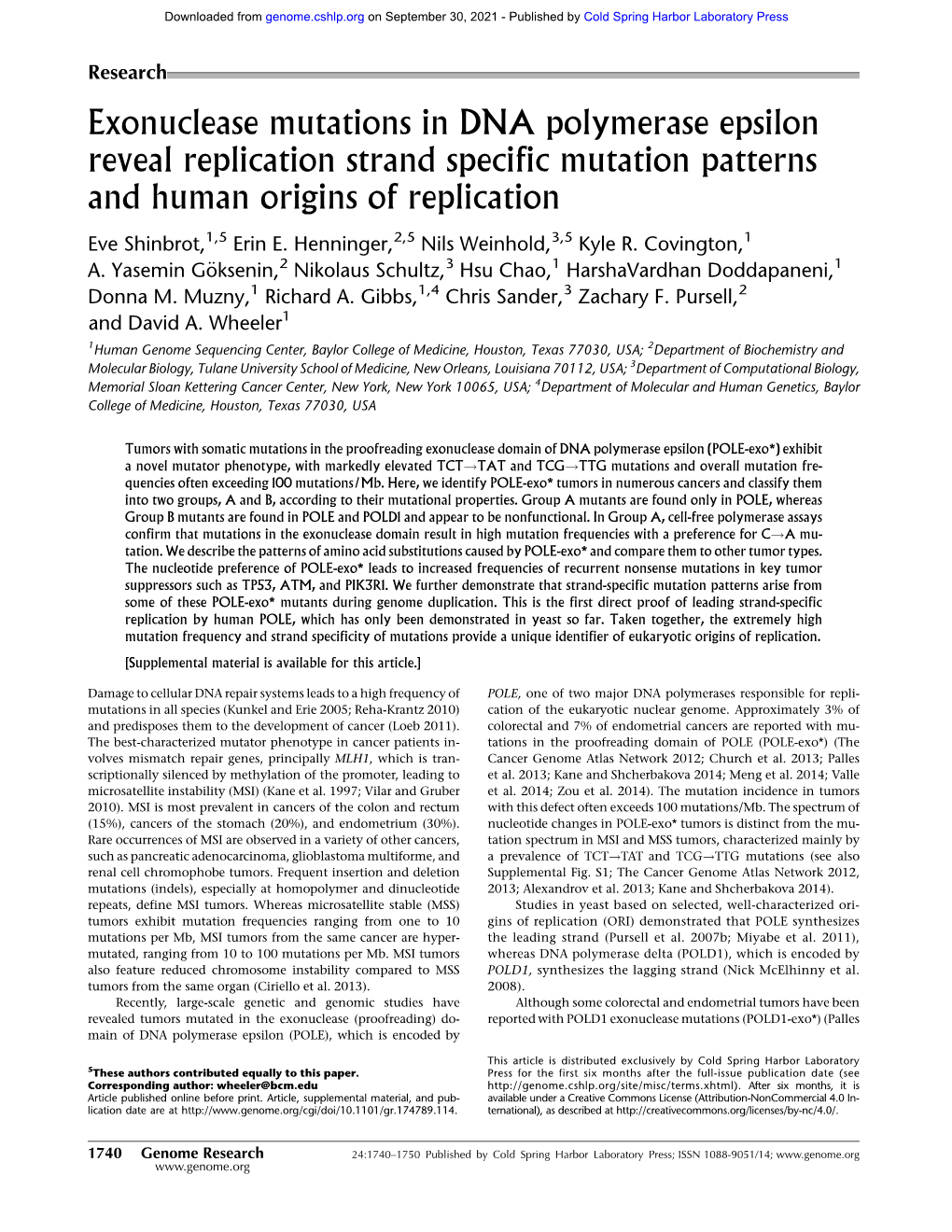 Exonuclease Mutations in DNA Polymerase Epsilon Reveal Replication Strand Specific Mutation Patterns and Human Origins of Replication