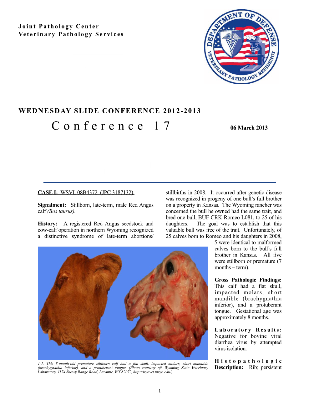 WSC 12-13 Conf 17 Layout