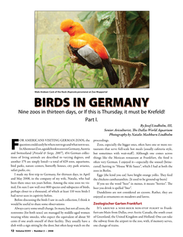 BIRDS in GERMANY Nine Zoos in Thirteen Days, Or If This Is Thursday, It Must Be Krefeld! Part I