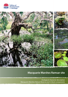 Macquarie Marshes Ramsar Site