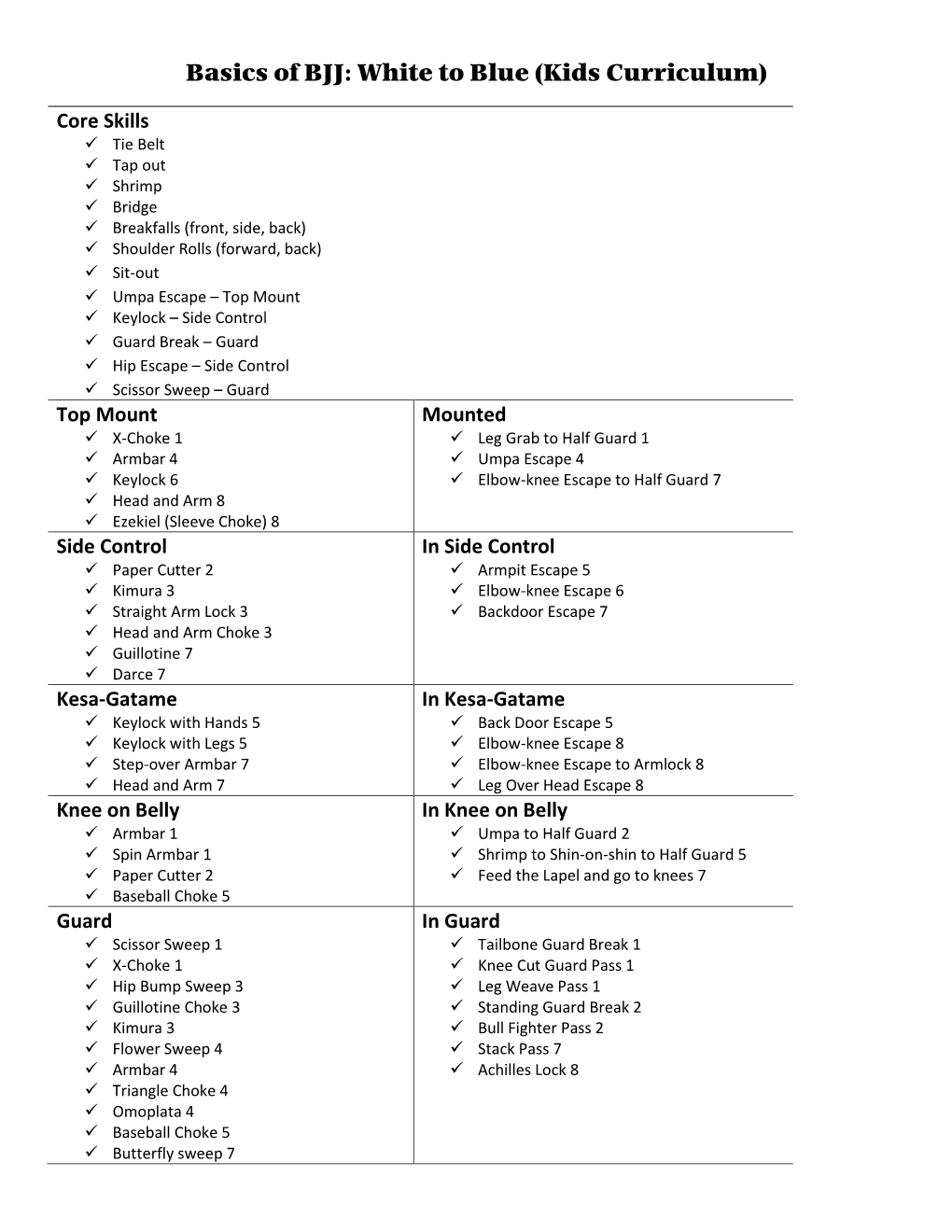 Basics of BJJ: White to Blue (Kids Curriculum)